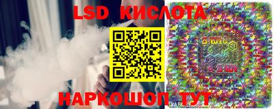 сатива Новодвинск
