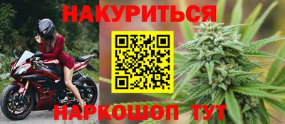 соль ск Новозыбков