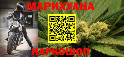 сатива Новодвинск