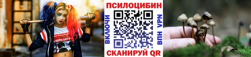 Псилоцибиновые грибы Psilocybe  Уварово 